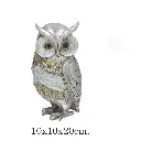 X9VH00088434.webp
