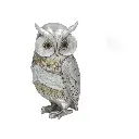 marvaia.webp