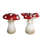 X9VH00028792maravia.webp