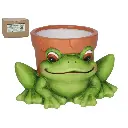 Maceta Decorativa en Forma de Rana - Diseño Divertido para Jardín o Interior (17.2 cm)