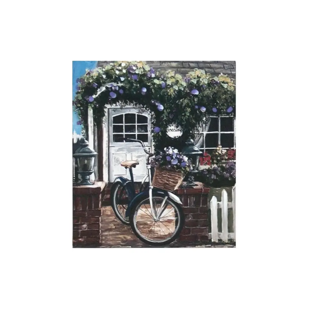 [COST-CUADRO-4050-BF] CUADRO ESTATE BICICLETA 50X60X1,8CM