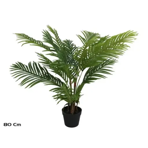 PLANTA PALMERA X 18 - 80 CM
