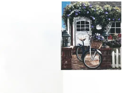 [COST-CUADRO-4050-BF] CUADRO ESTATE BICICLETA 50X60X1,8CM